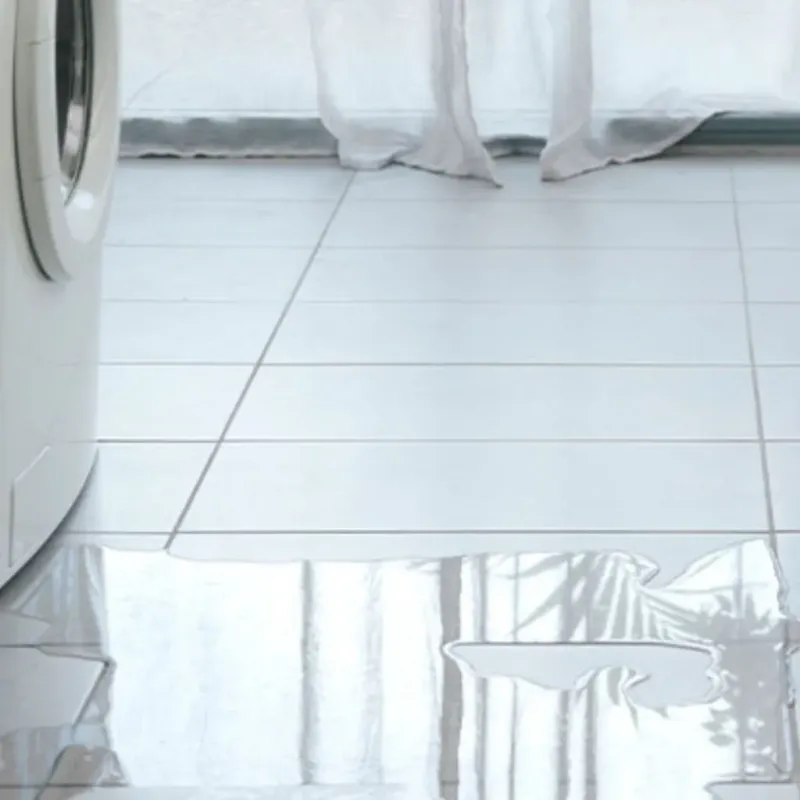 Appliance Leak Cleanup in Barton County, MO
