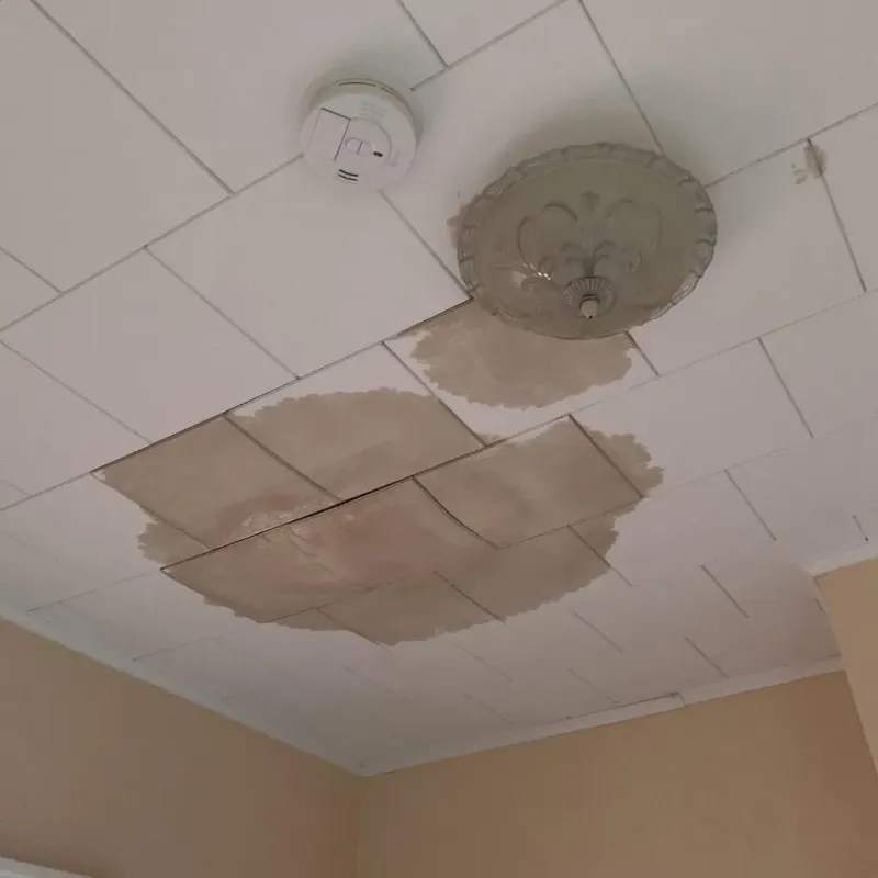 Ceiling Water Damage Repair in Barton County, MO