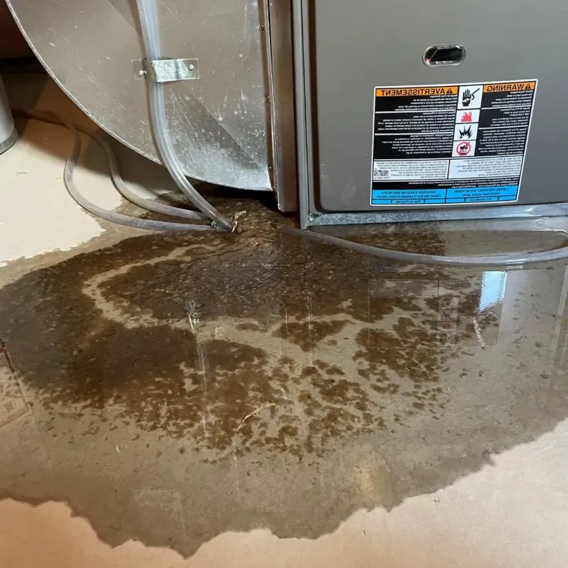 Pipe Burst and Leak Restoration in Barton County, MO