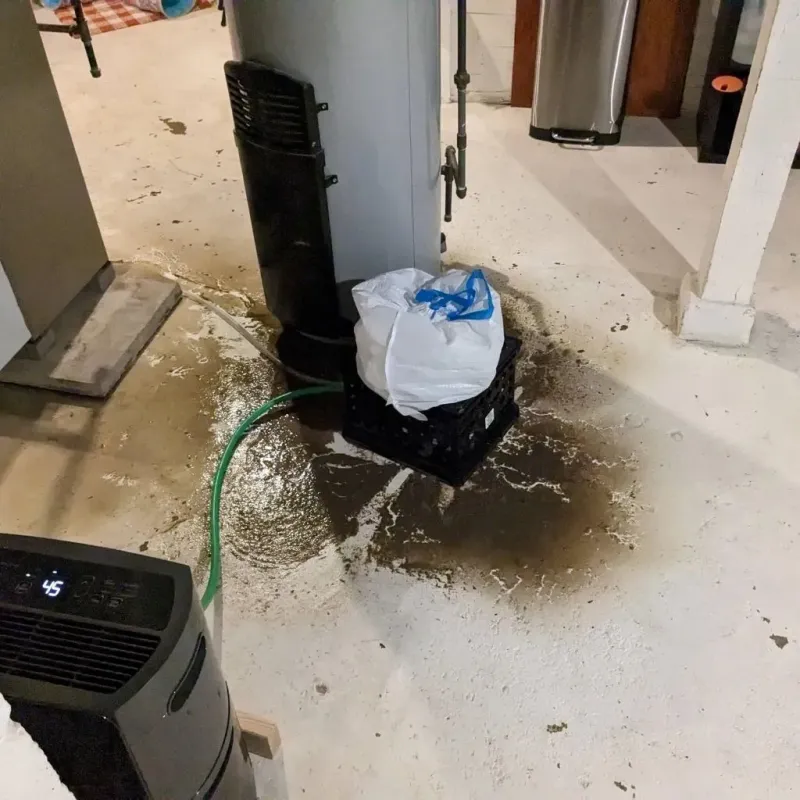 Sewage Backup Cleanup Service in Barton County, MO